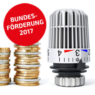 Bundesförderung für 2017